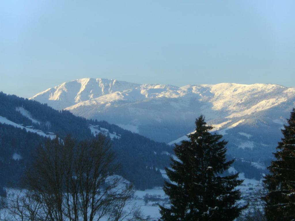 Bauernhof Hundbichl Villa Brixen im Thale Eksteriør billede